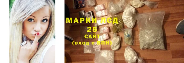 сатива Новокубанск