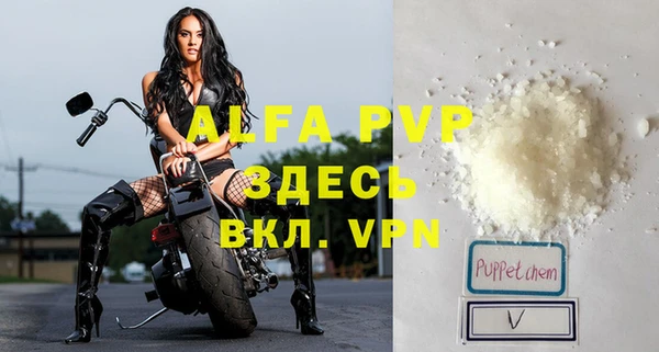 дживик Абаза