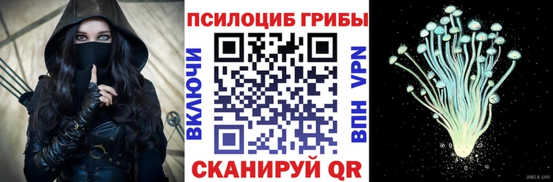 Псилоцибиновые грибы мухоморы продажа наркотиков ссылка на мегу ССЫЛКА Черкесск