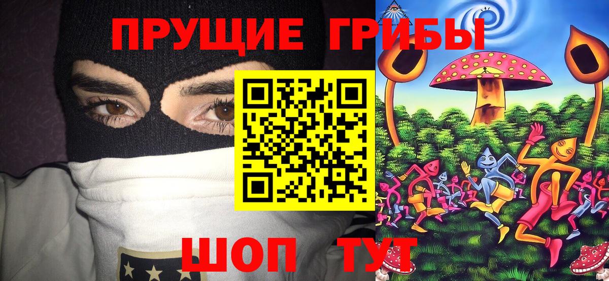 Черкесск  Псилоцибиновые грибы мухоморы  Псилоцибиновые грибы ЛСД  Вход с VPN 