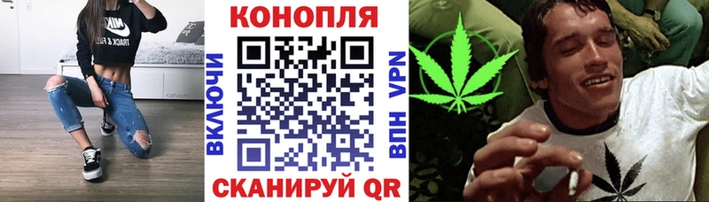 Конопля марихуана Черкесск